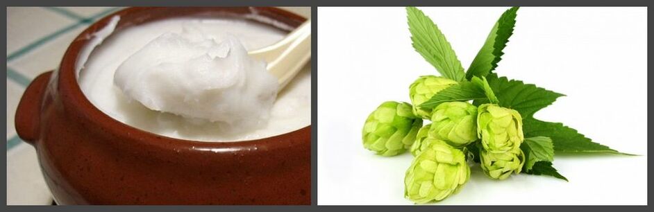 Hops and pork fat for preparation of medicinal ointment for osteochondrosis